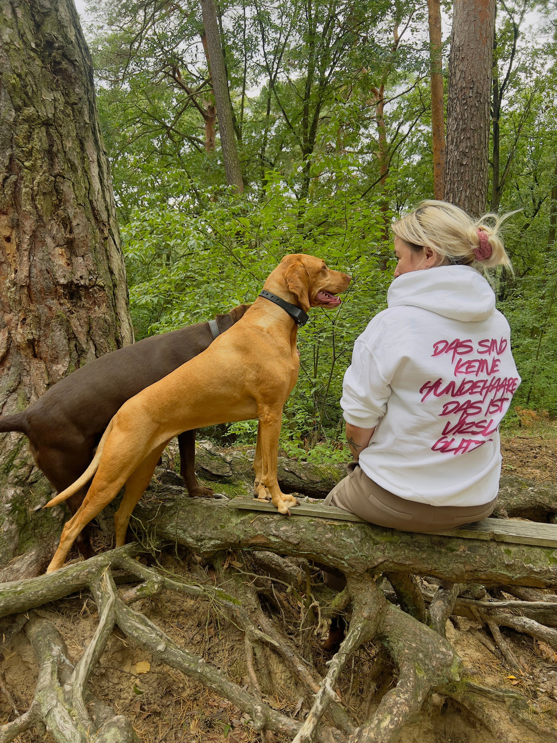 Hund richtig auslasten – so lastest du Körper UND Kopf aus