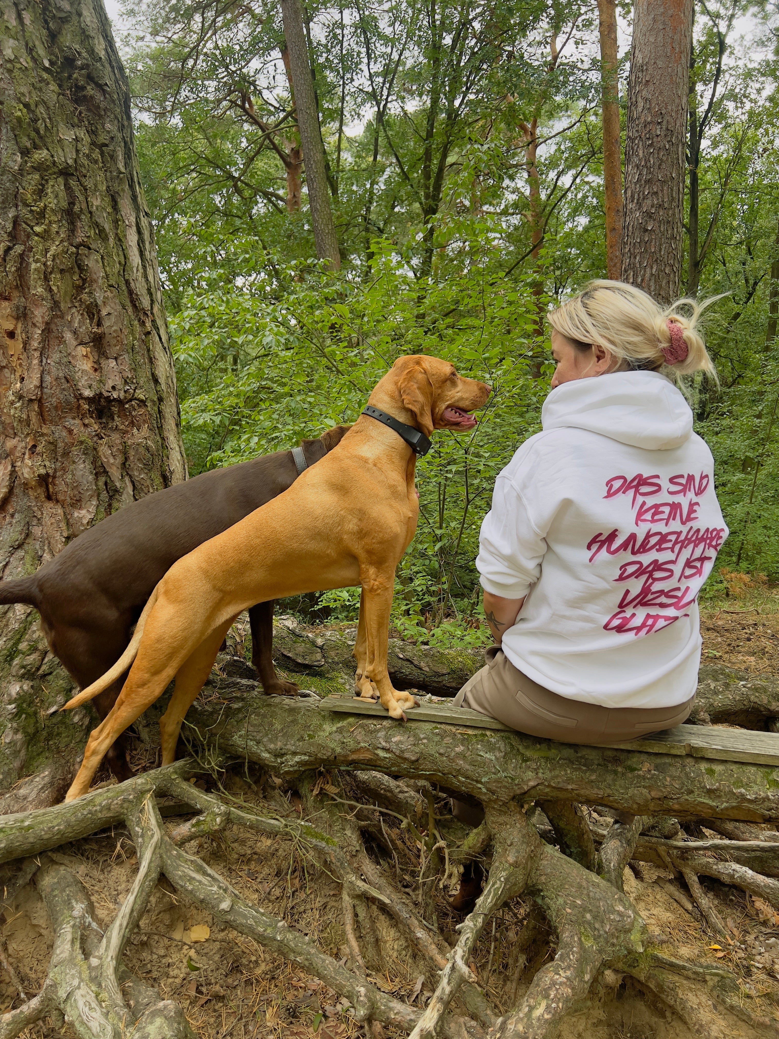 Hund richtig auslasten – so lastest du Körper UND Kopf aus