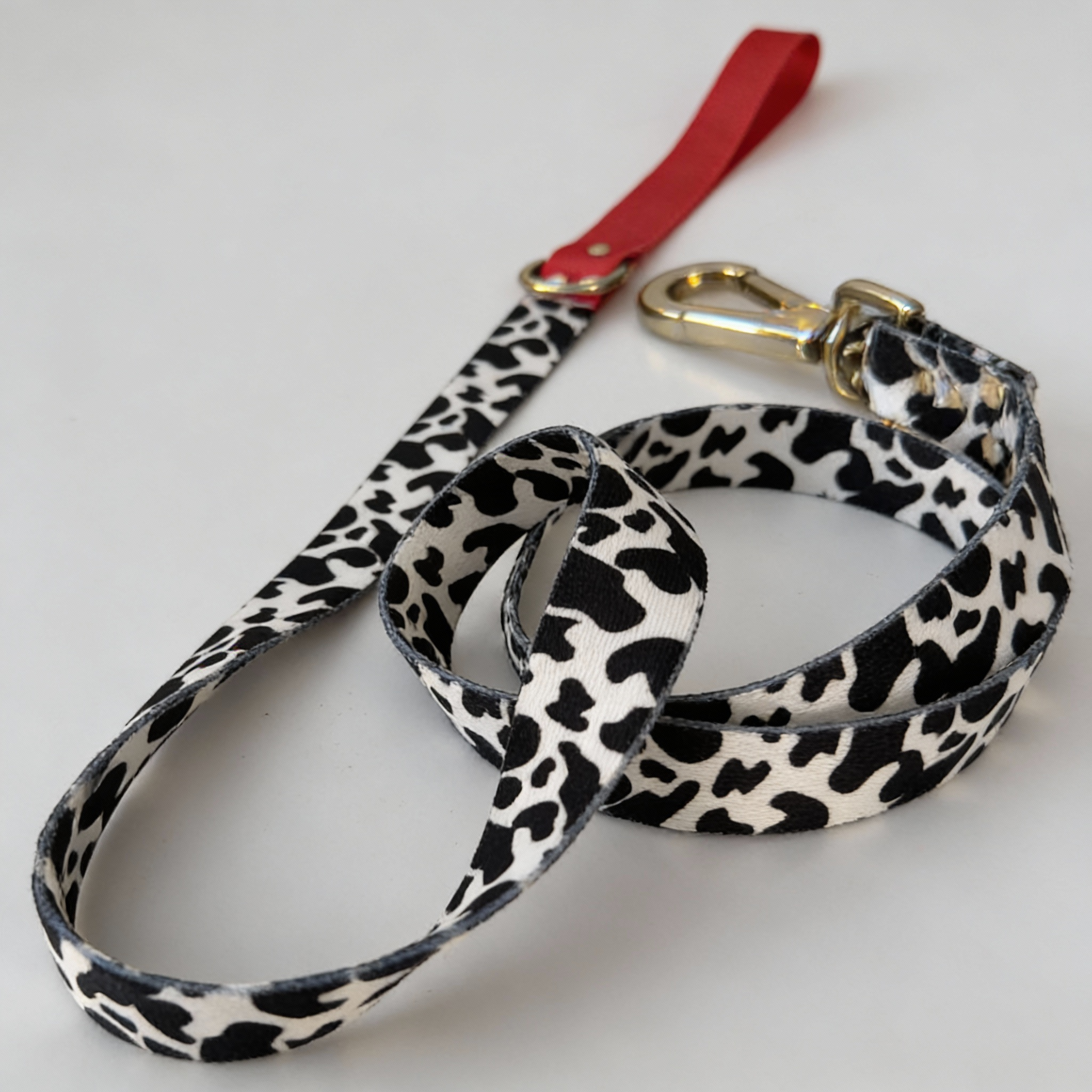 Designer Halsband, Leine, Geschirr