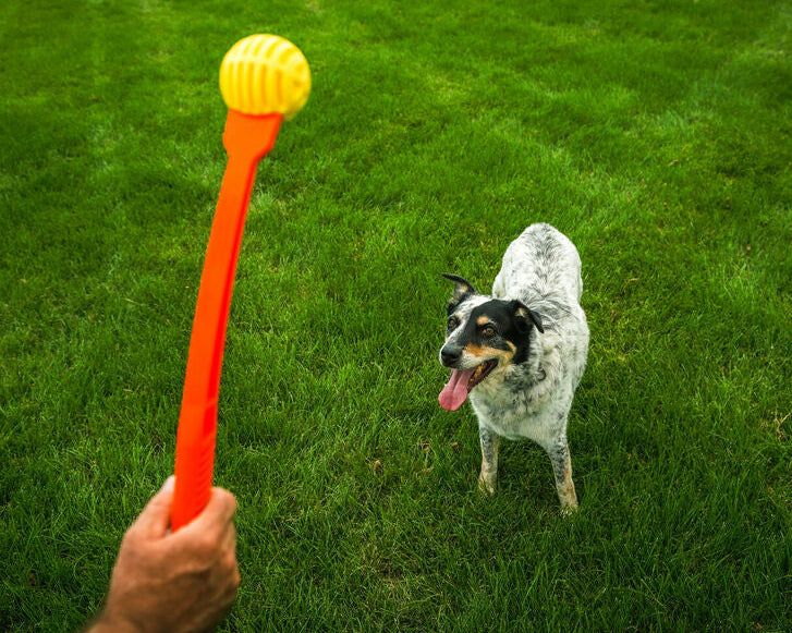 Ball Launcher for Dogs Hunter Yellow Orange Rubber Ball-4