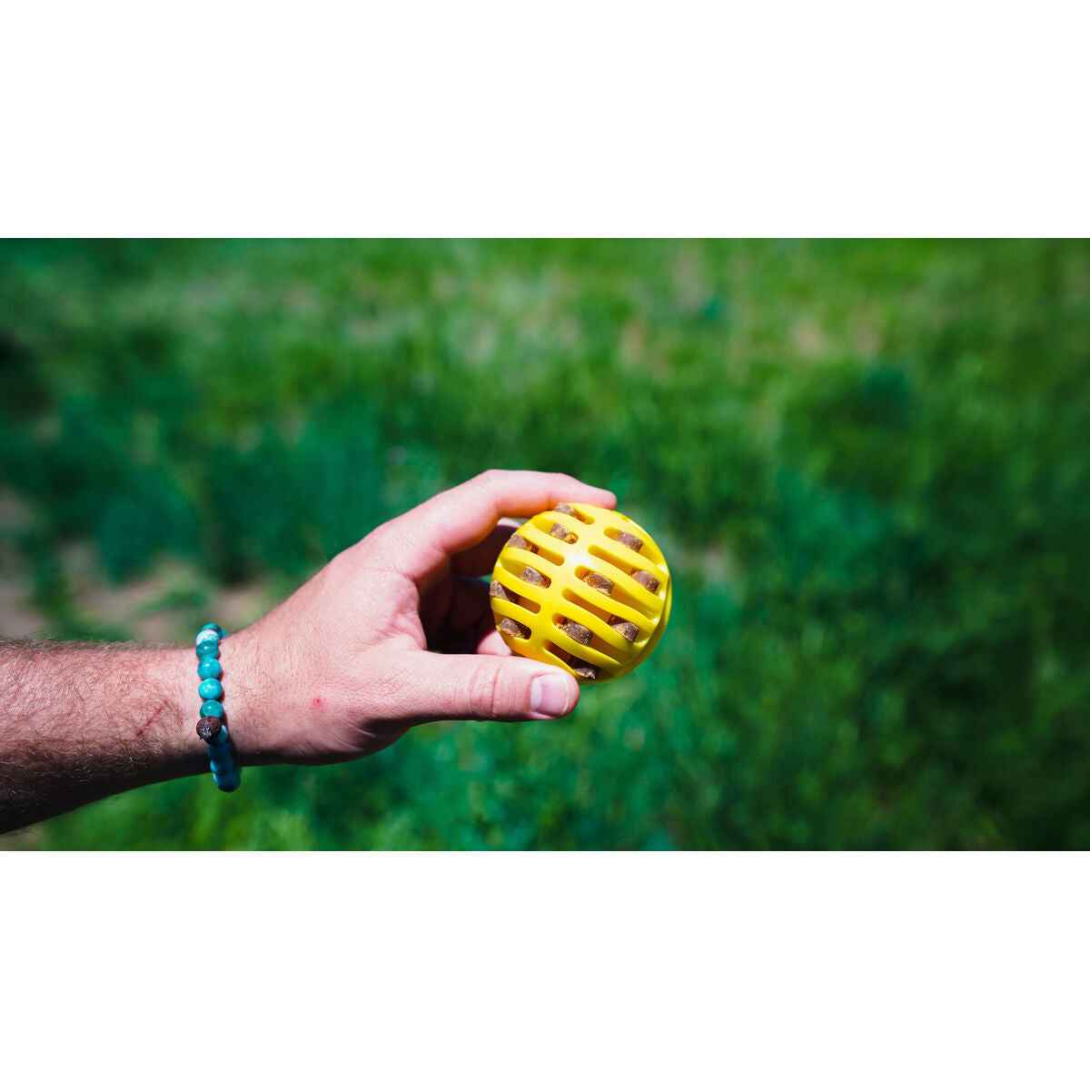 HUNTER Ball Launcher mit Gummiball – Aktiv & robust (Gelb/Orange)