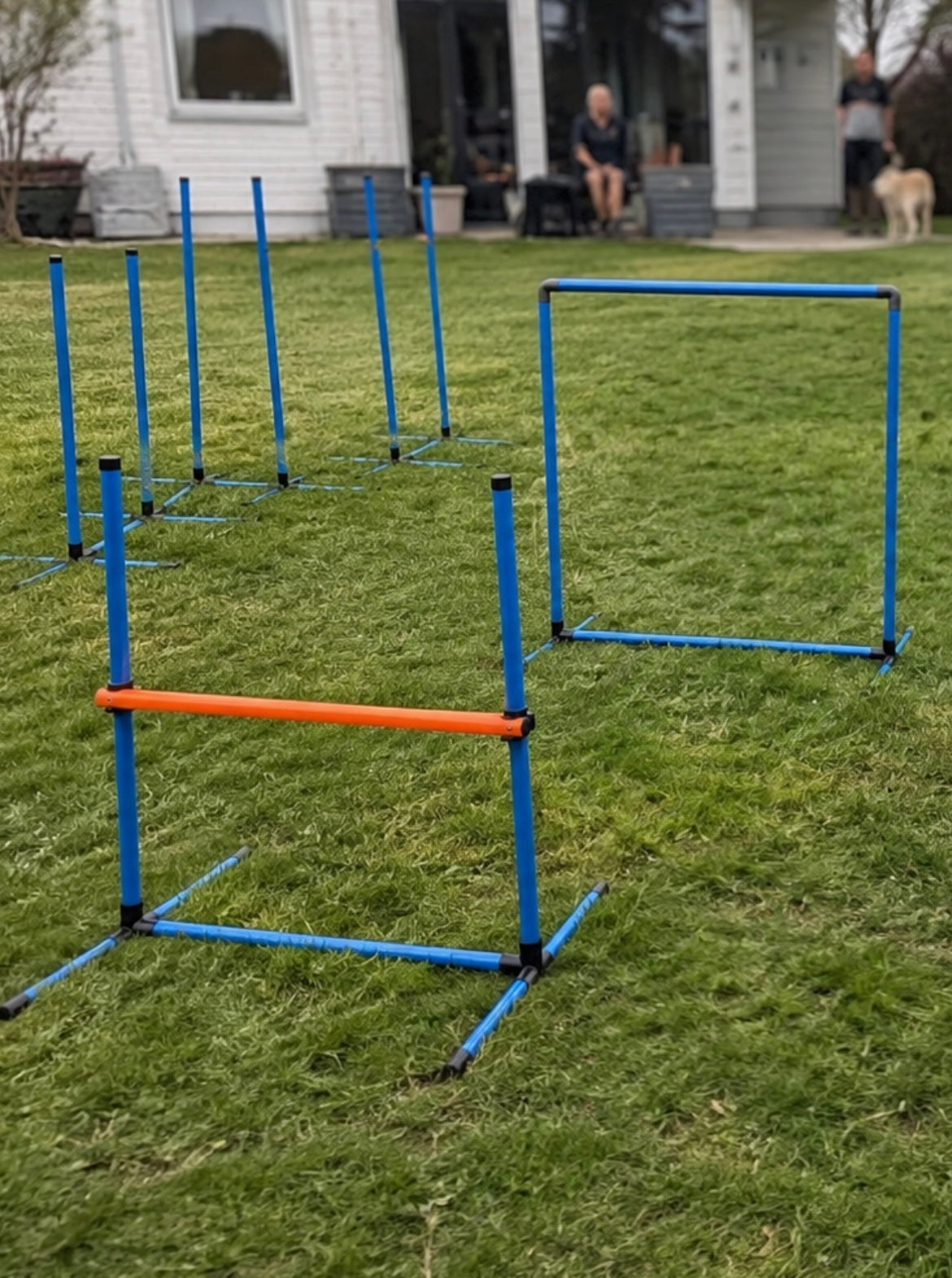 Hund springt über eine Hürde des Agility-Trainingssets