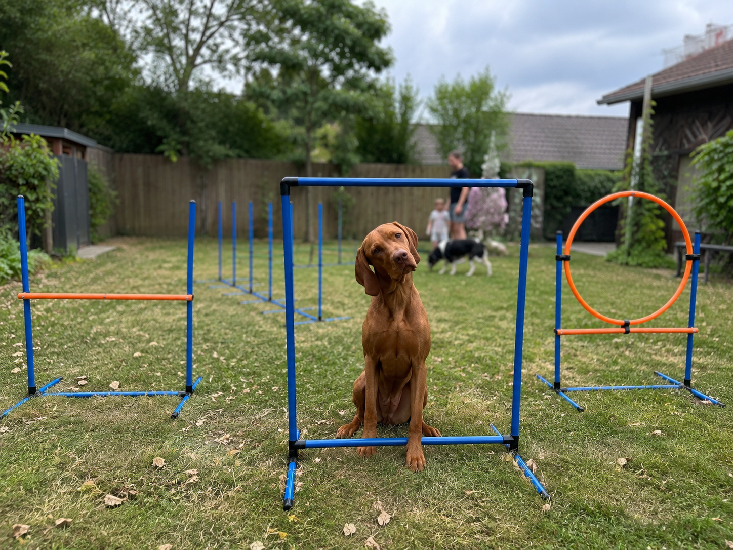 XXL Agility Trainingsset für Hunde aus PVC, im Garten aufgebaut