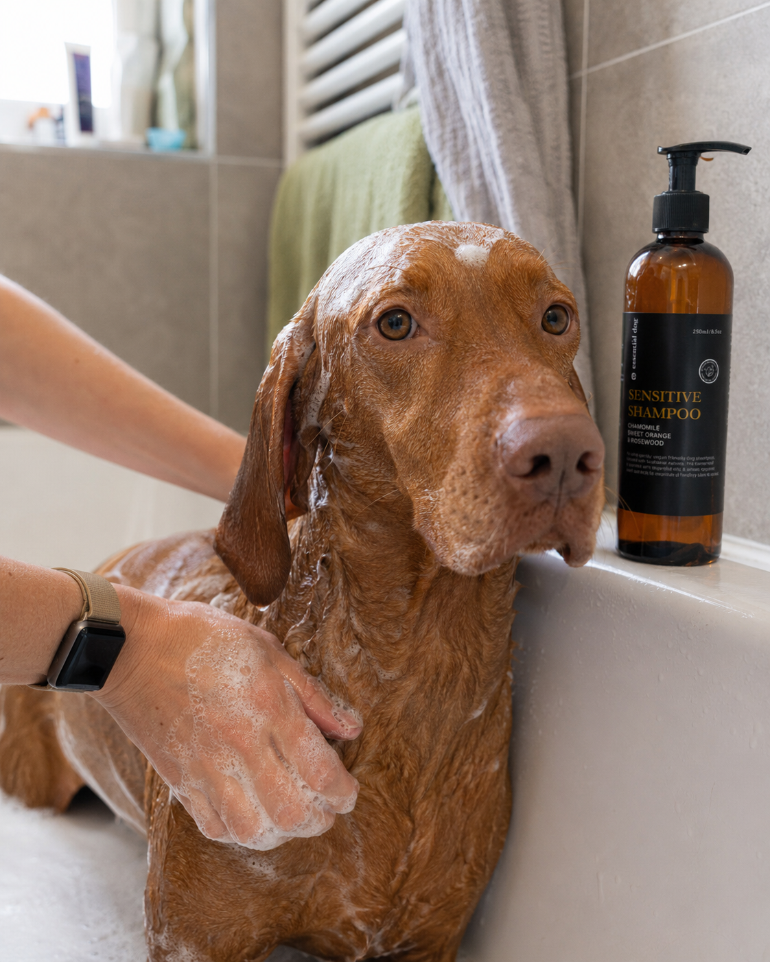 Hunde-Pflegeset Sensitive als Geschenkset für empfindliche Hundehaut