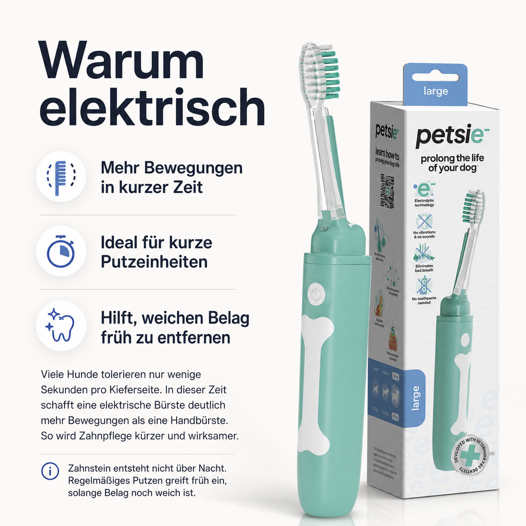 Griff und Bedienknopf der elektrischen Hundezahnbürste Petsie