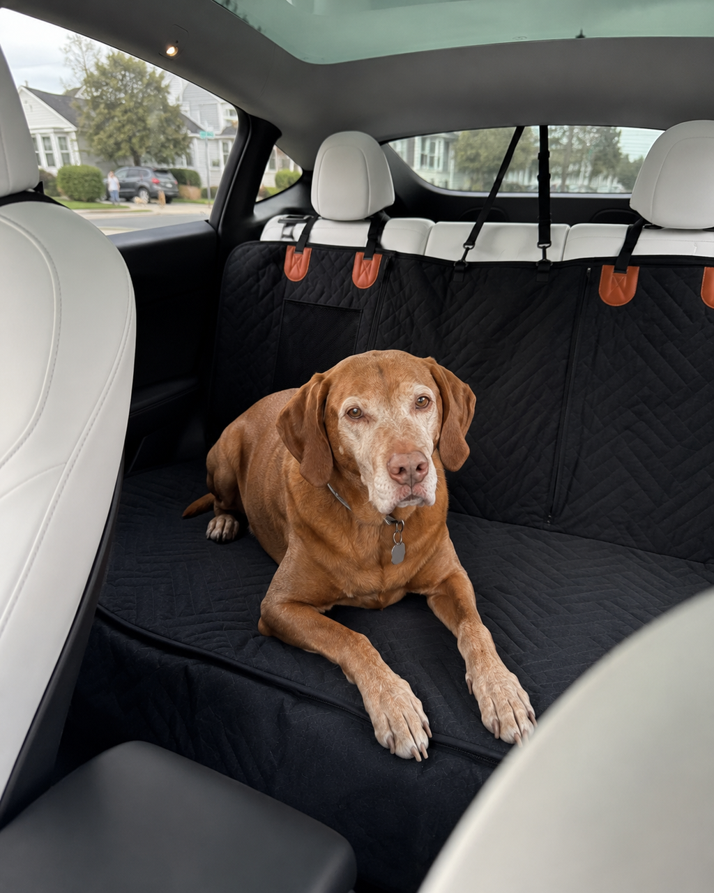 Sichtfenster aus Mesh in der Frontklappe der Auto-Hängematte
