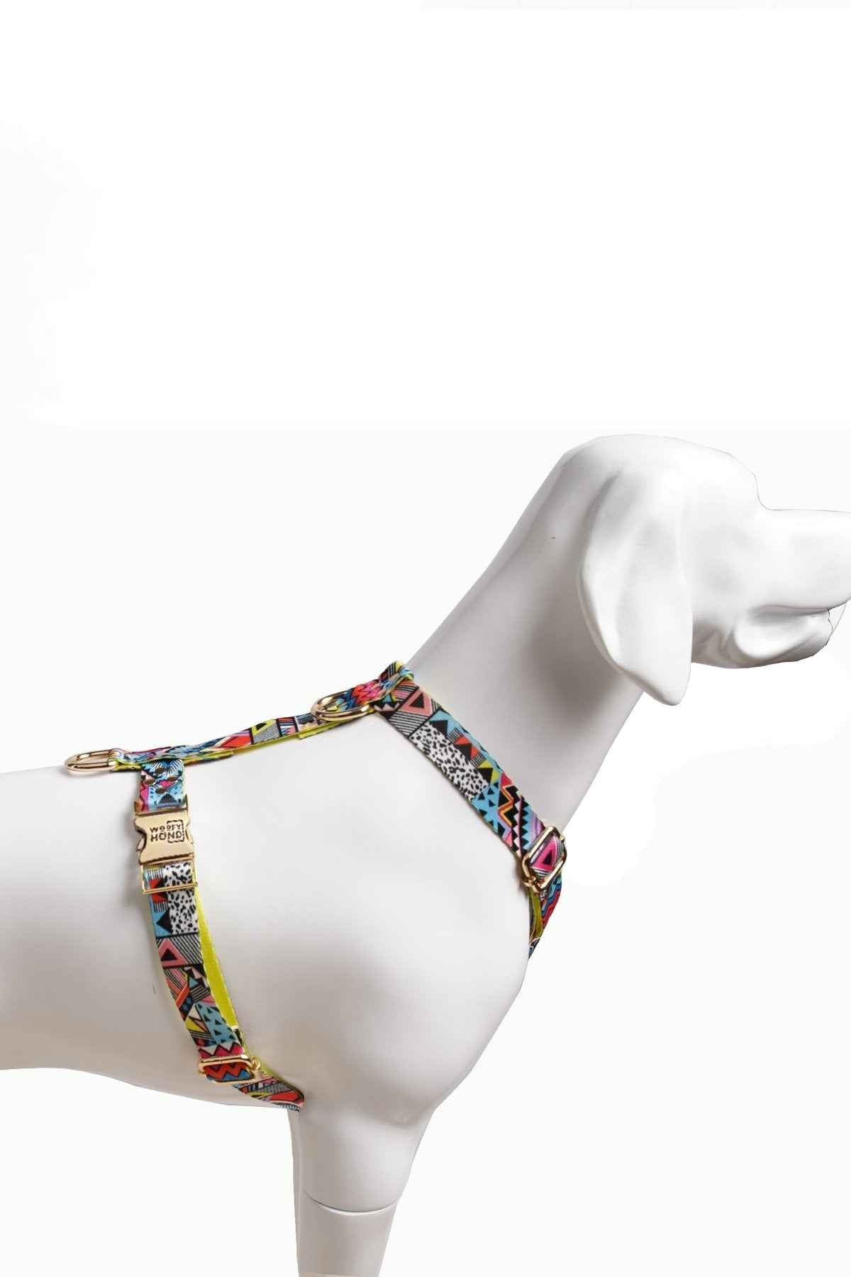 Hundegeschirr Ethnic-Vibrance