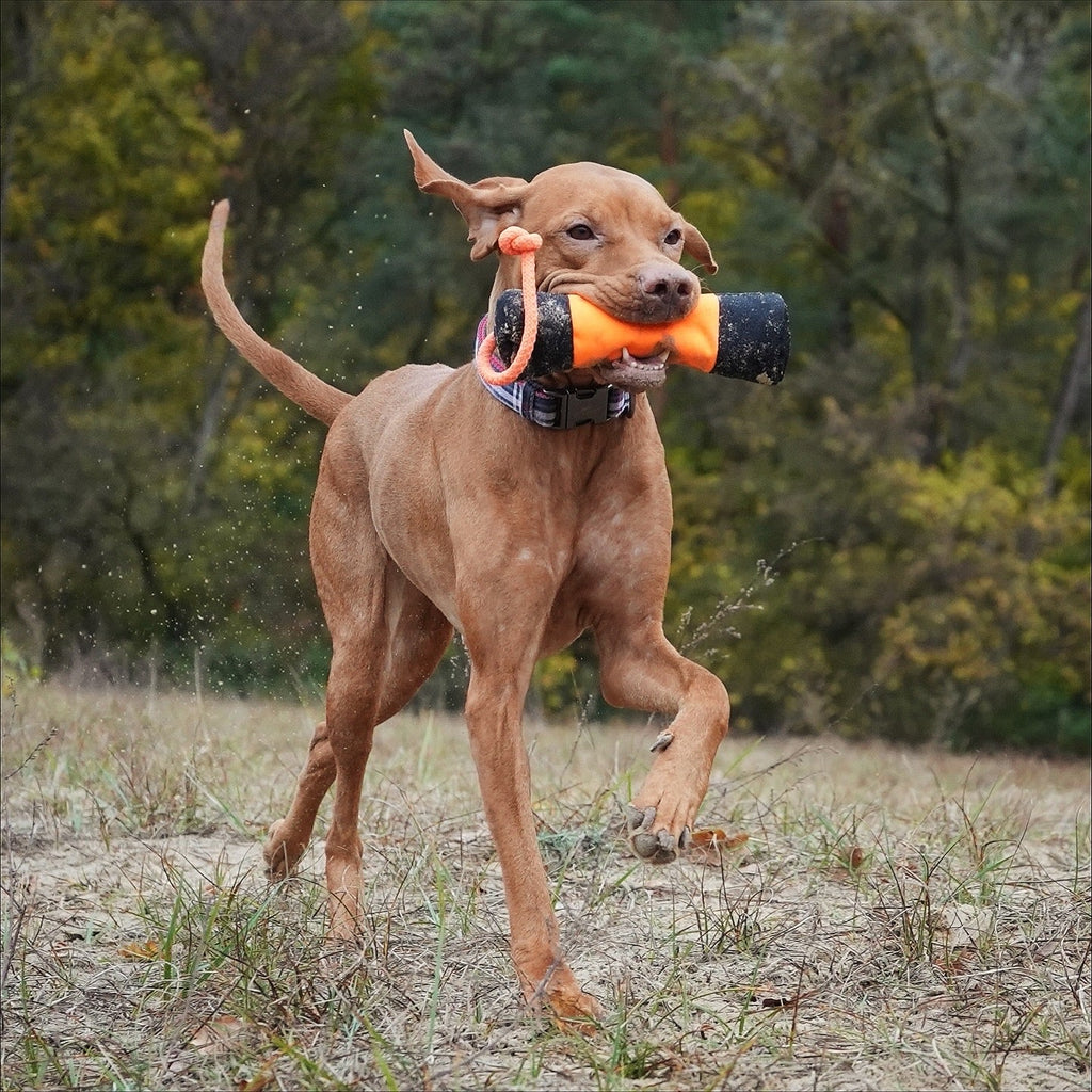 HUNTER Trainer Snack Dummy - Alanis Welt