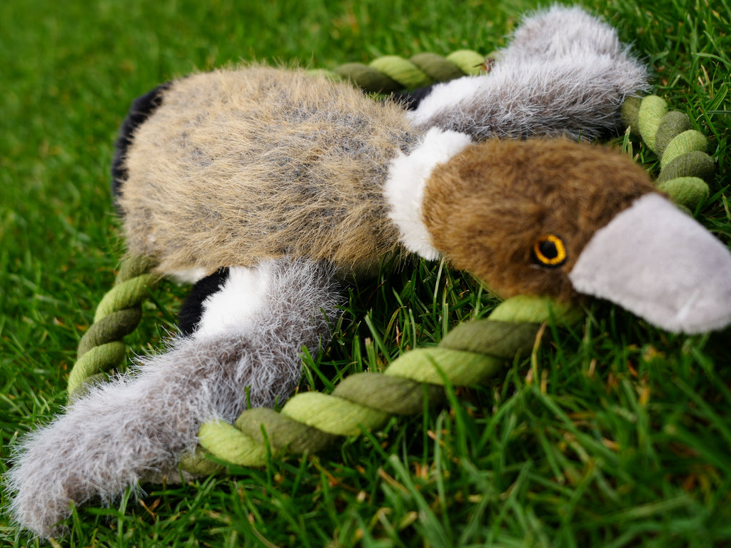 HUNTER WILDLIFE TRAINING ENTE (26 cm) - Alanis Welt