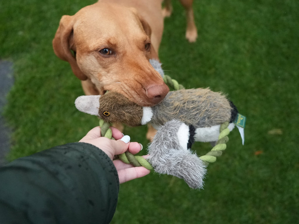 HUNTER WILDLIFE TRAINING ENTE (26 cm) - Alanis Welt