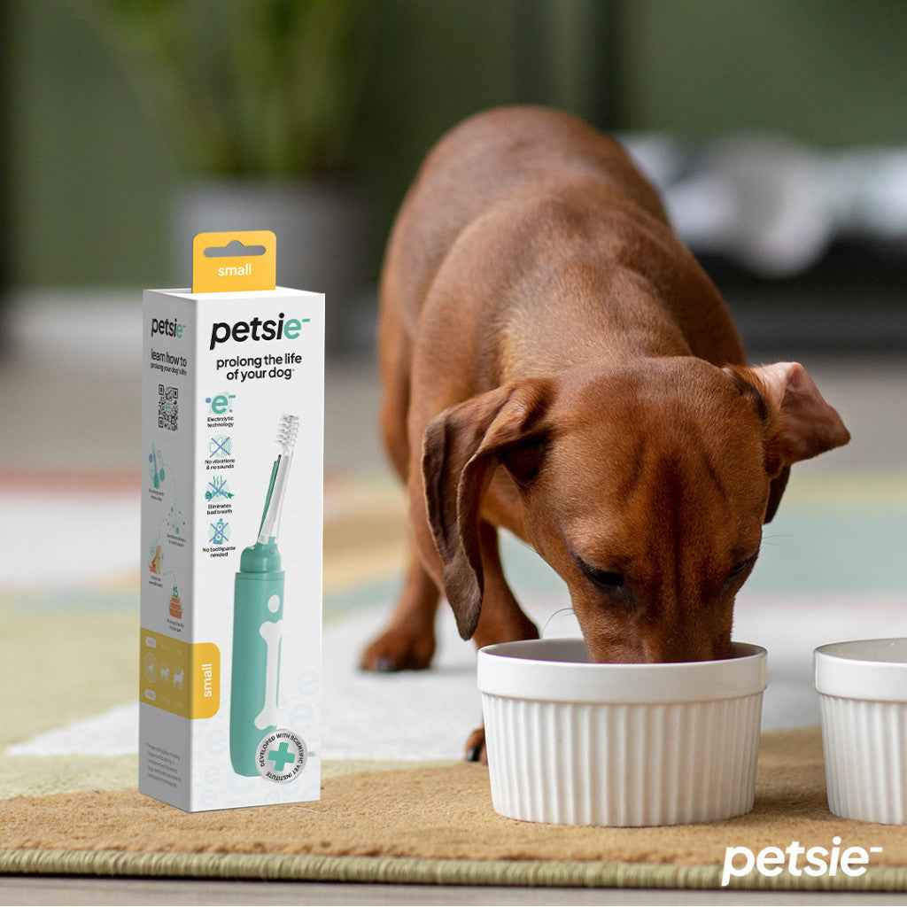 Petsie Elektrische Hundezahnbürste – Größe L (ab 20 kg)