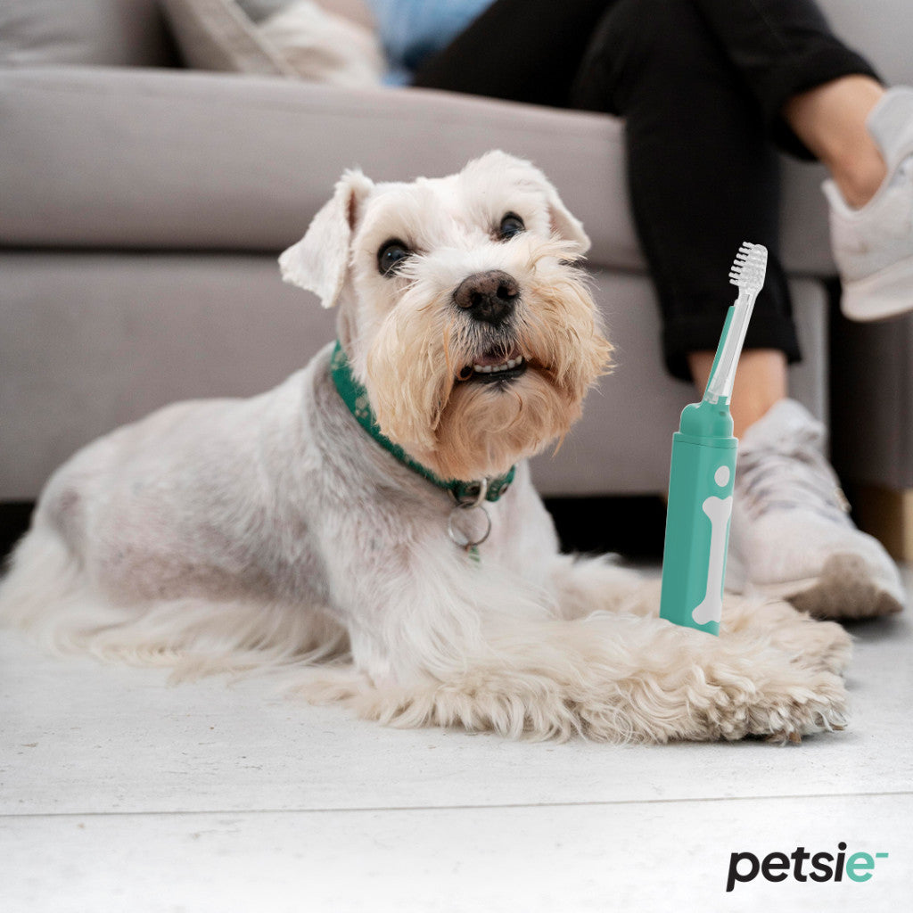 Petsie Elektrische Hundezahnbürste – Größe L (ab 20 kg)