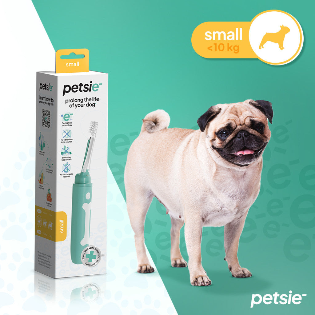 Petsie Elektrische Hundezahnbürste – Größe L (ab 20 kg)