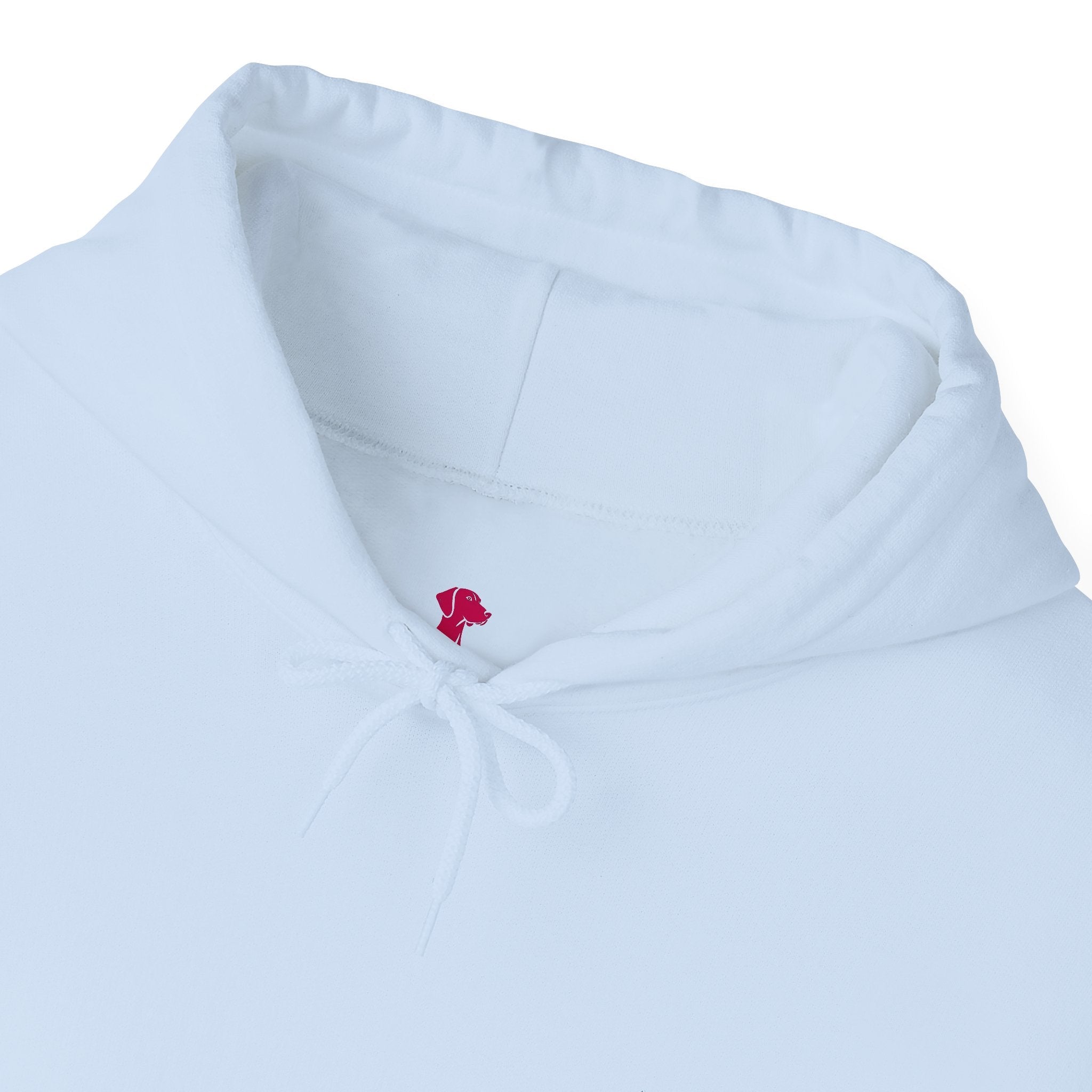 Vizsla Vibes – farbenfrohes Design für gute Laune! - Alanis Welt