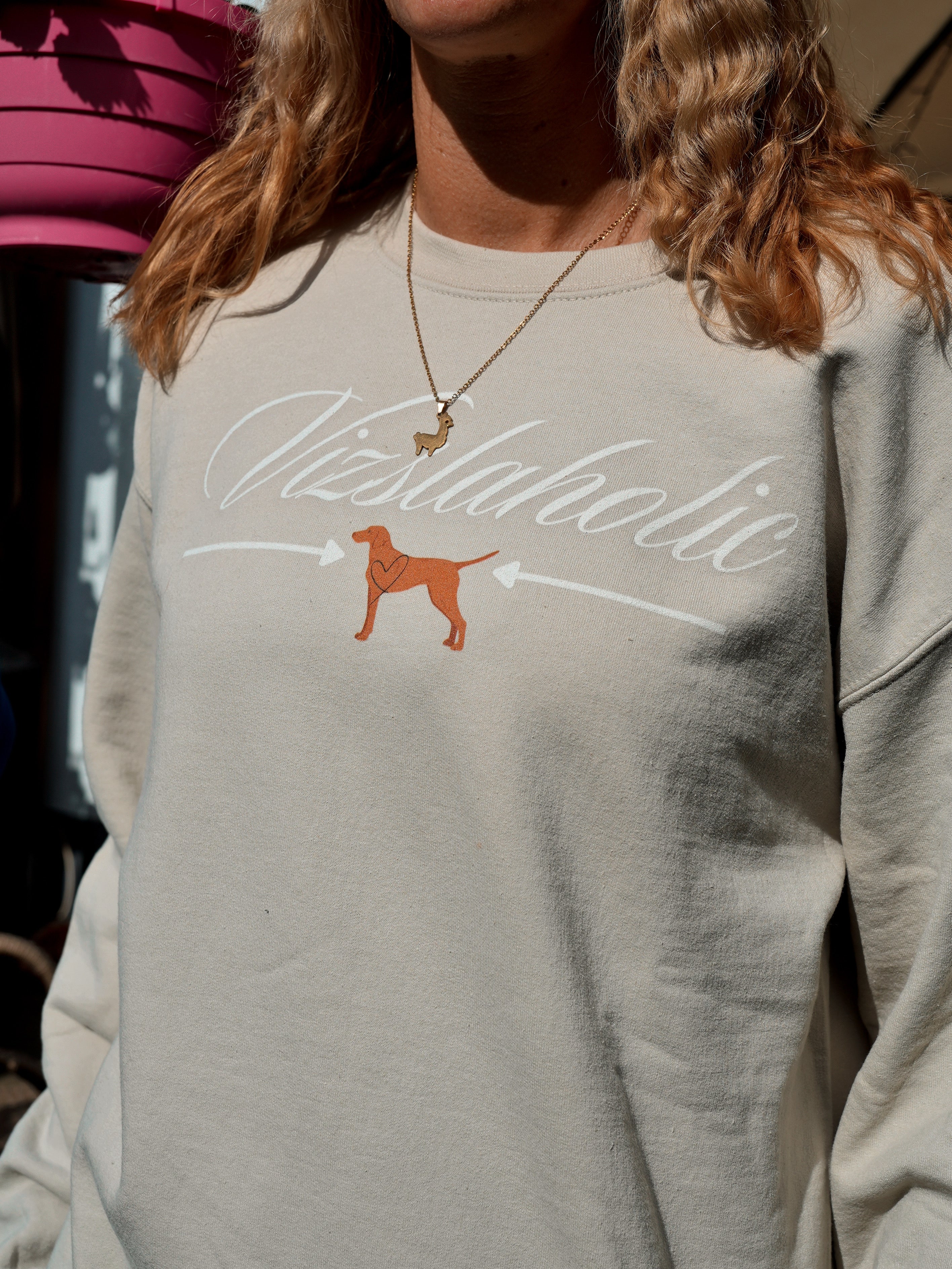 Vizslaholic Sweatshirt – einmal Vizsla = immer Vizsla! - Alanis Welt